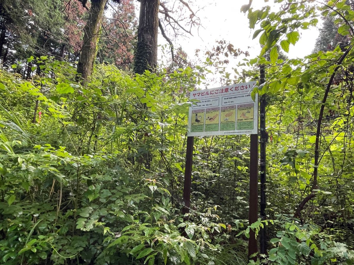 登山道