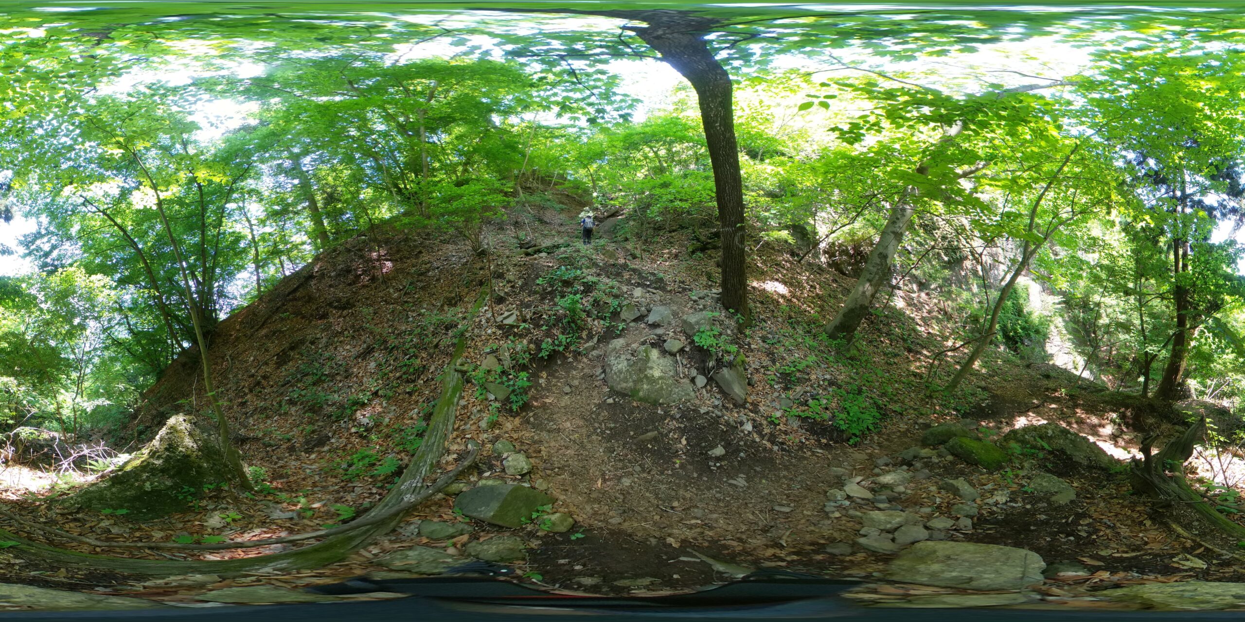 vr