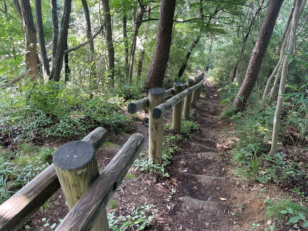 峠へ向かう途中の急坂