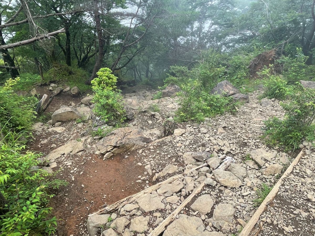 岩場は雨で滑りやすい