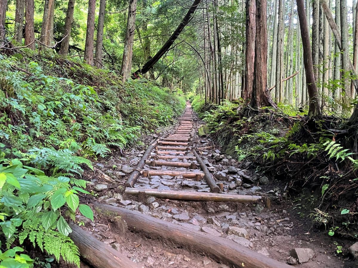 登山道の様子