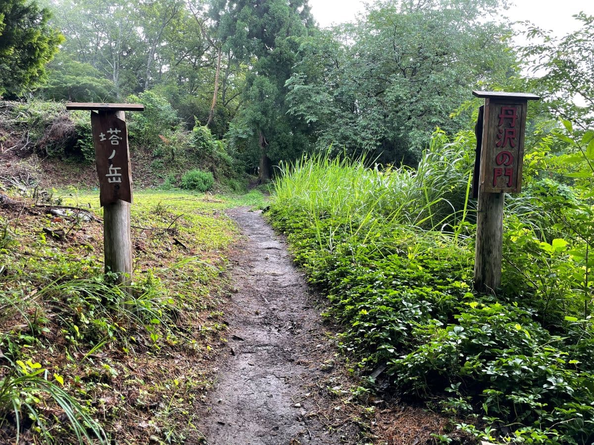 大観望入り口の様子