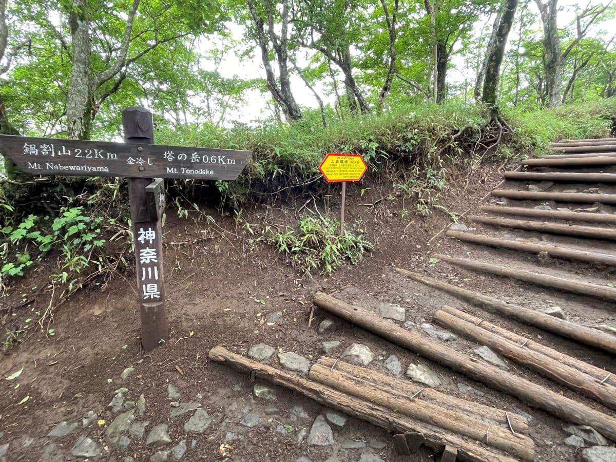 塔ノ岳山頂までの登山道・分岐