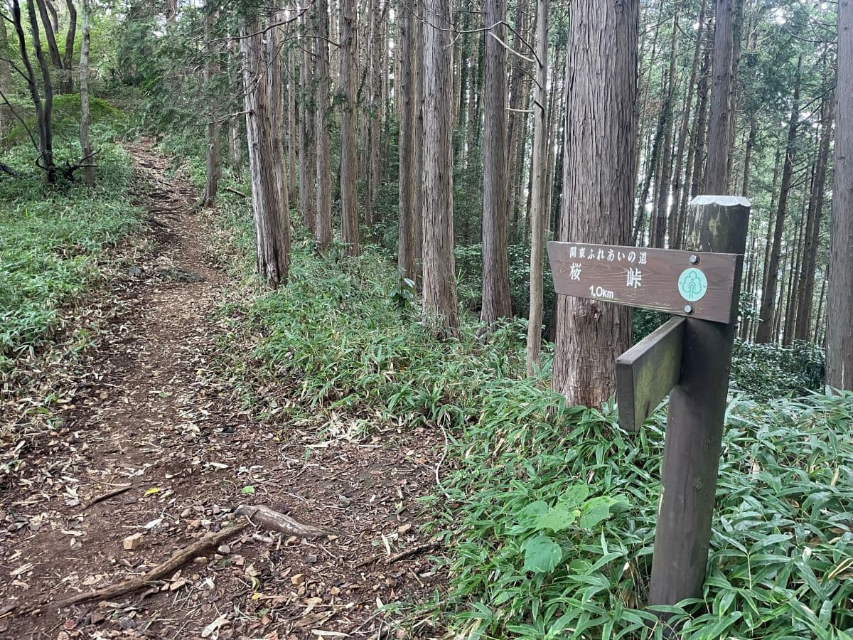 桜峠への案内板（関東ふれあいの道）
